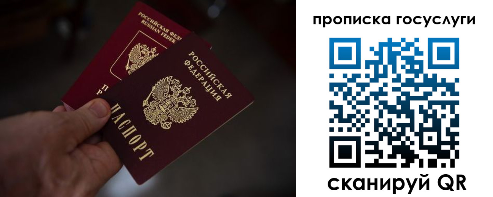 прописка ребенка в Оленегорске